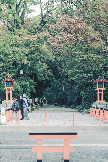 Whatever SHIMOGAMO-EAST 下鴨神社正面